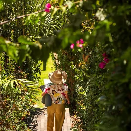 Victory View By An Island Lejlighed Calheta (Madeira)