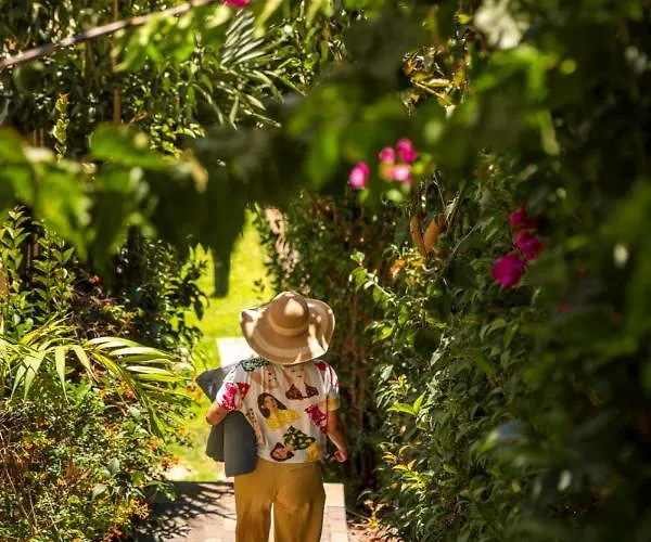 Victory View By An Island Lägenhet Calheta (Madeira)
